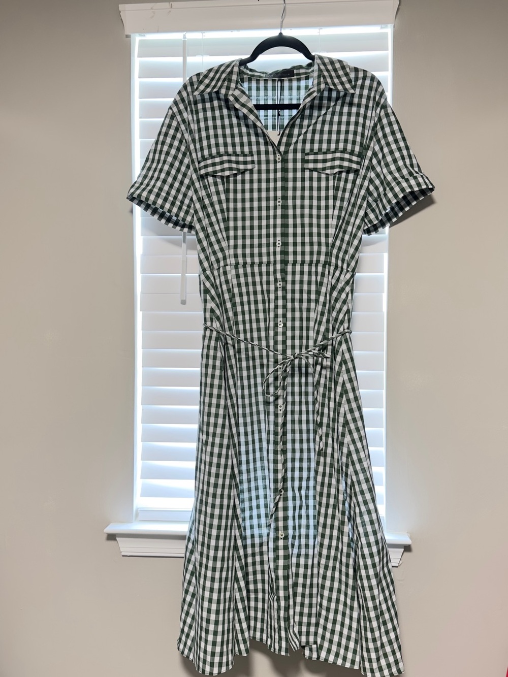Zara Green Gingham Button-Front Shirt Dress with Tie Waist